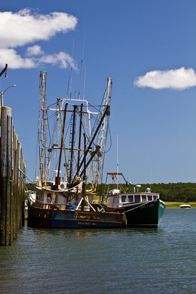 4.  Commercial fishing boats in Wellfleet Harbor.