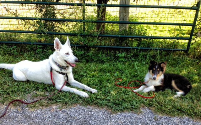 Hans and Jeb August 24, 2013