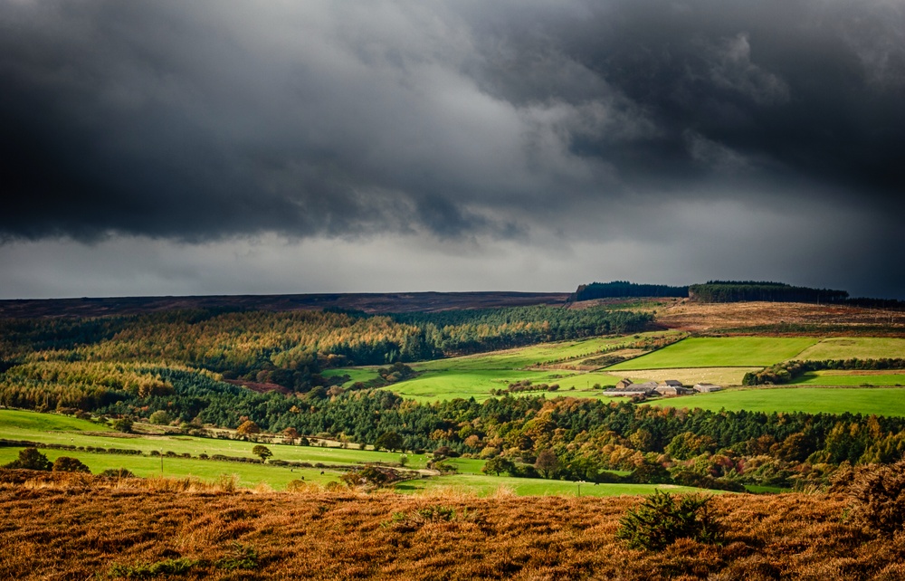 Storm Across The Moors