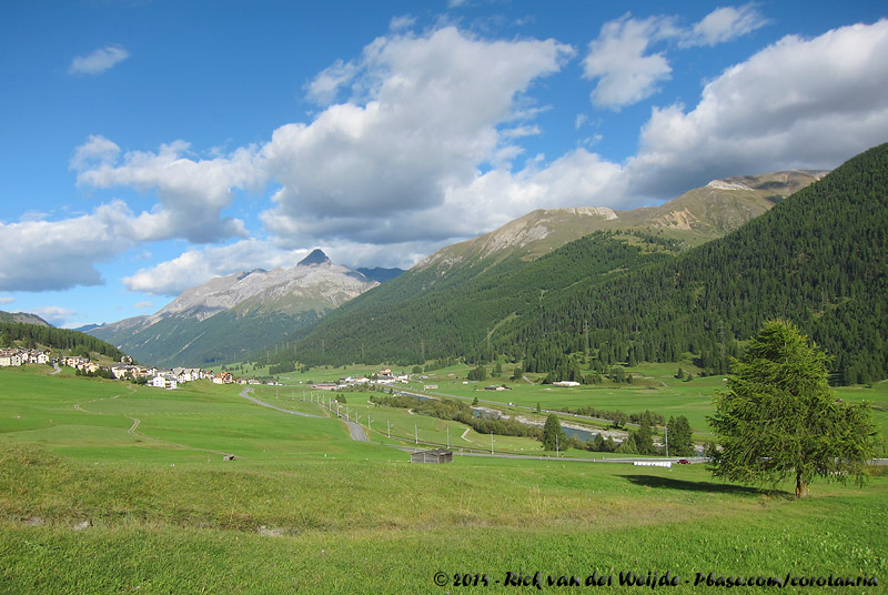 Alpine Meadows