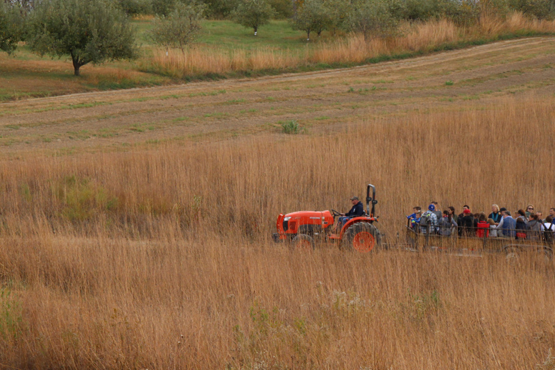 Great day for a hayride! - Vicki