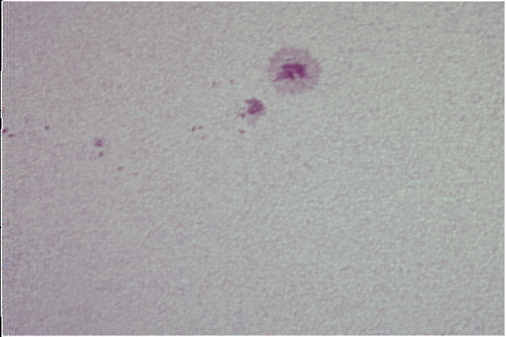 Sun0004 14-09-22