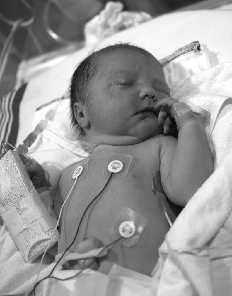 pb02-01-15-052.jpg