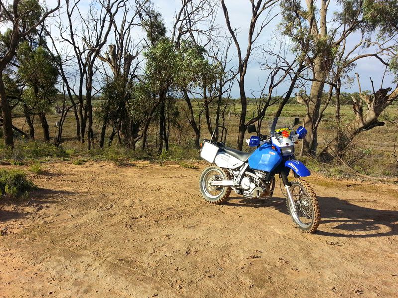 20140503_150103.jpg