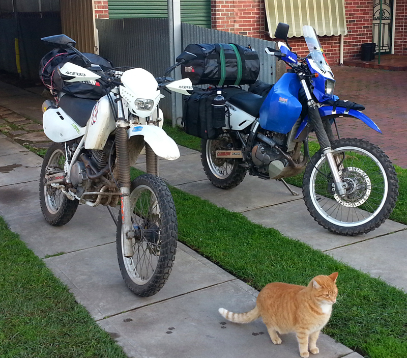 20140801_080923.jpg