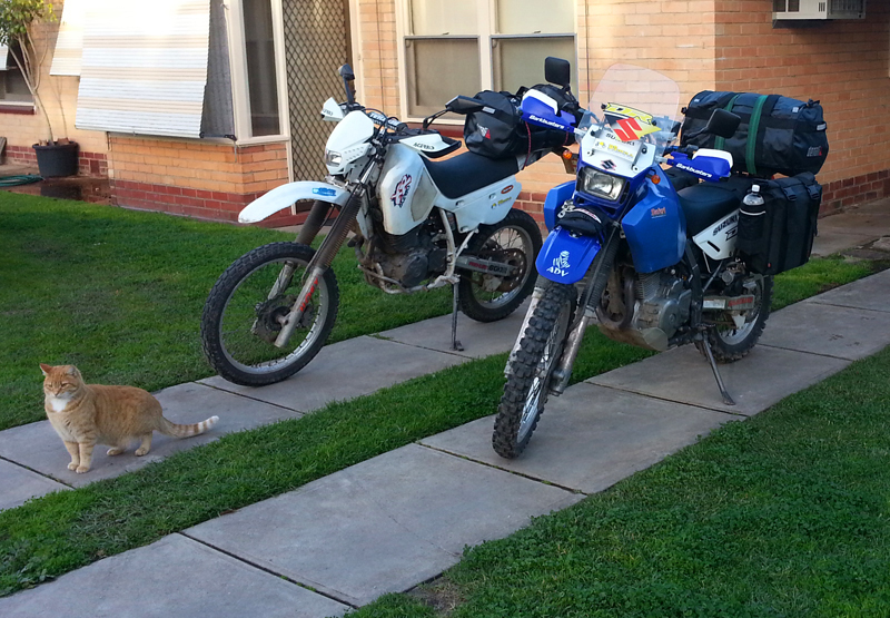 20140801_080938.jpg