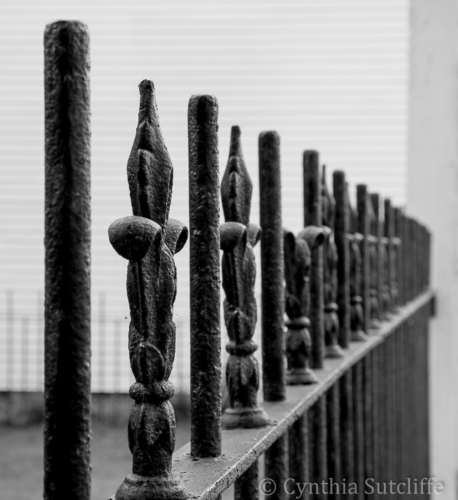 Cemetery Fence