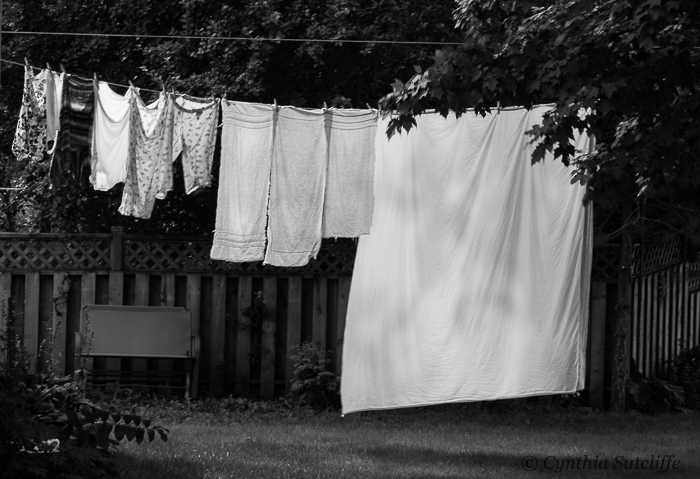 Wash Day