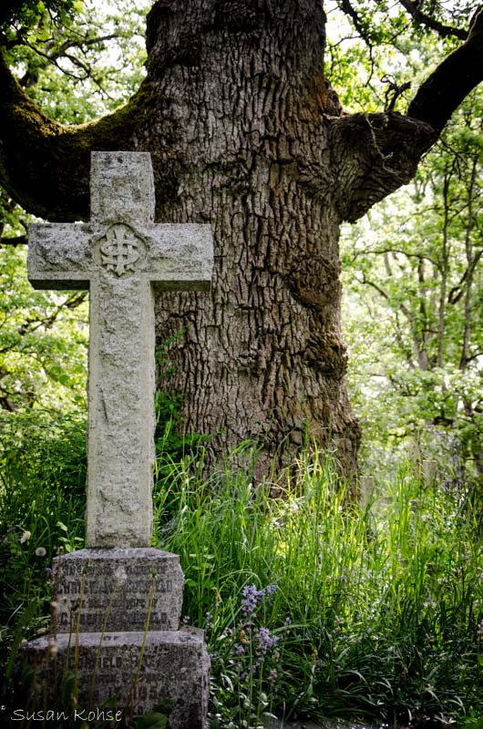 tree cross