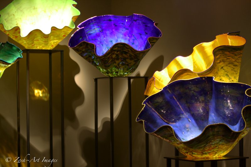 Chihuly|Macchia Forest in Exhibition Hall