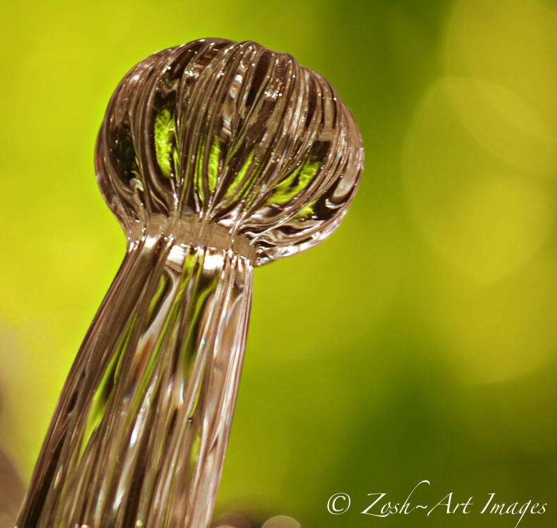 Chihuly Single Glass Frond