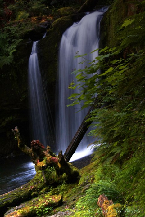 Stocking Creek Falls 