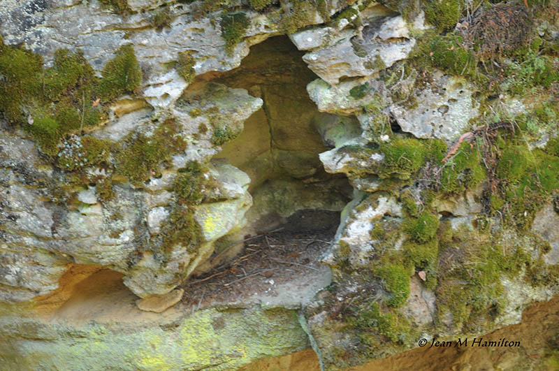 Cliff's Cave