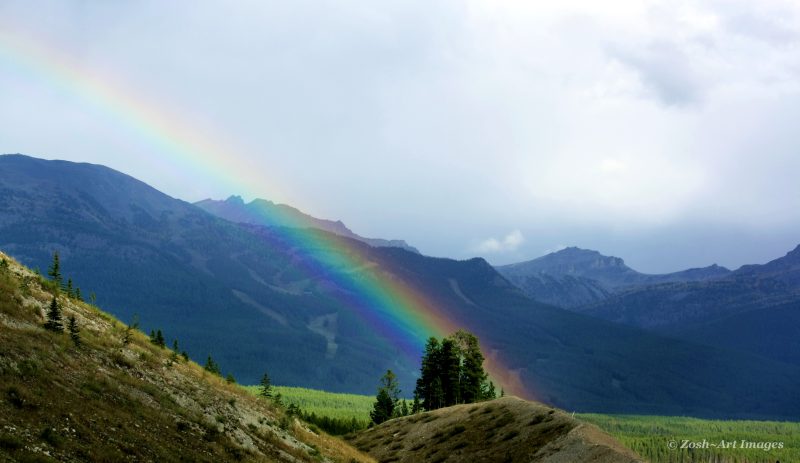 Rocky Mountain's Rainbow