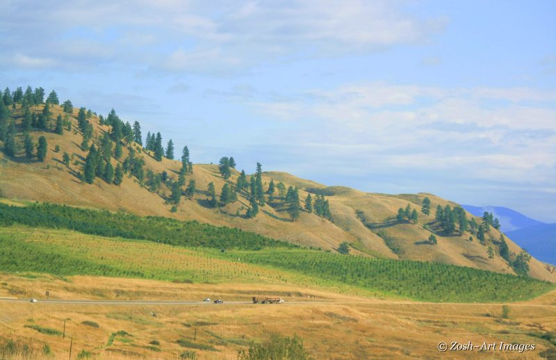 Zosia Miller<br>2013 Theme Challenge-Landscape<br>Road Trip - Okanagan Valley 