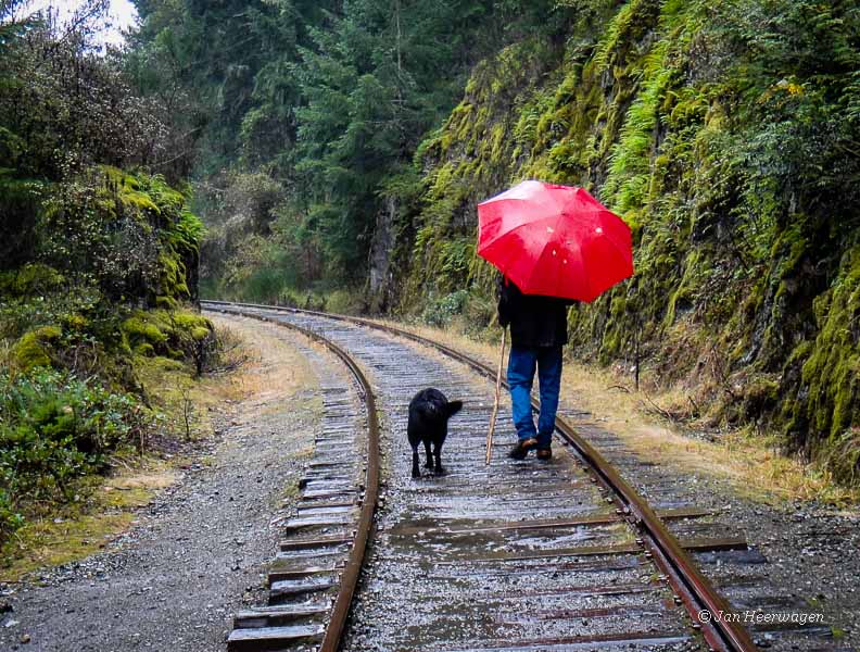 Walking the Tracks