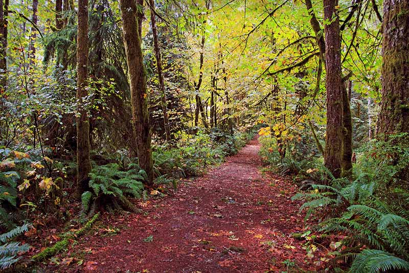 Fisherman's Trail 