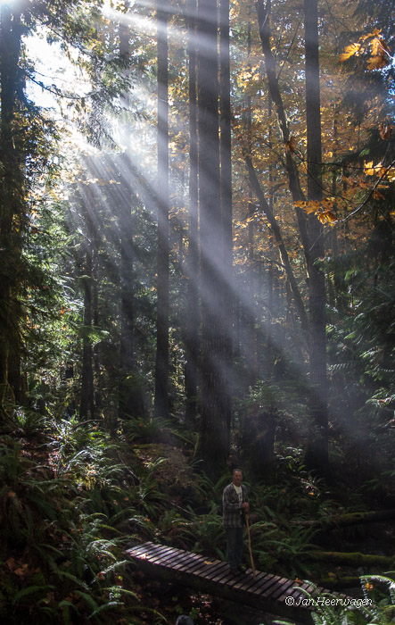 Fall Sunrays