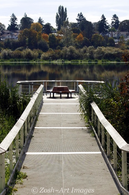 * Swan Lake Nature Sanctuary, Victoria: October 5, 2013