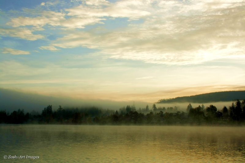 Early Morning Mist 