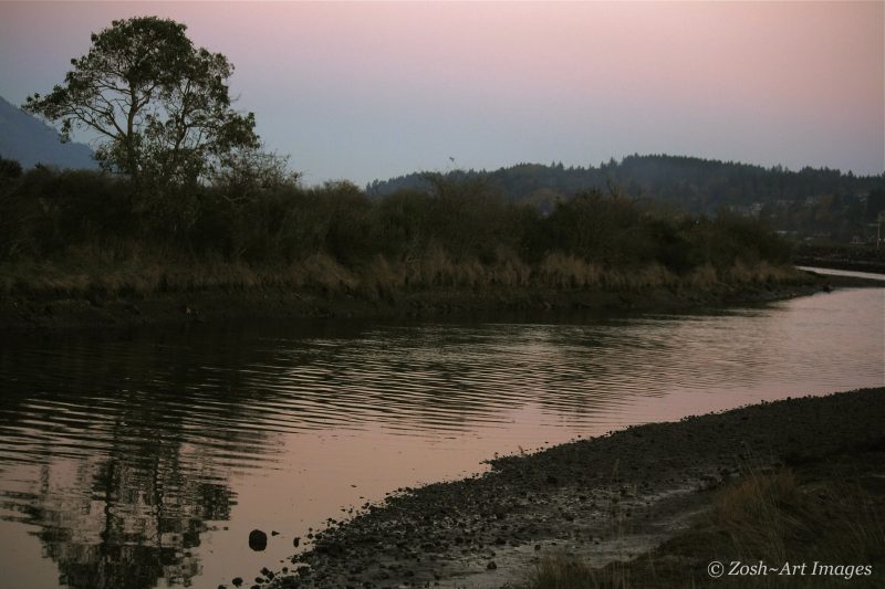 Sunset on the Estuary