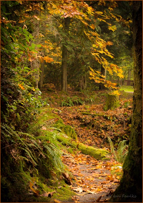 the trail in autumn