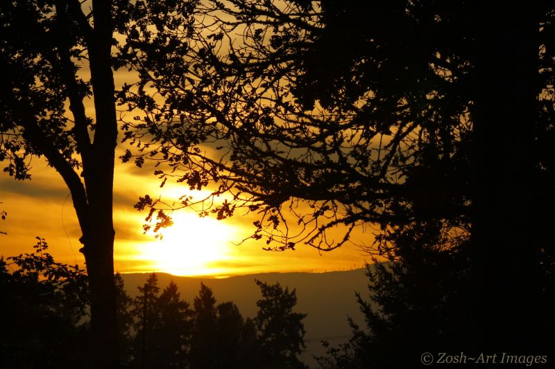 Sunset in my Backyard 