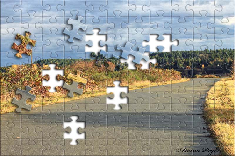 Cowichan Path Puzzle