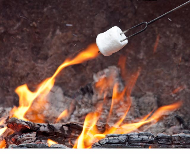 How to Start a Fire---Zap it with a Marshmallow