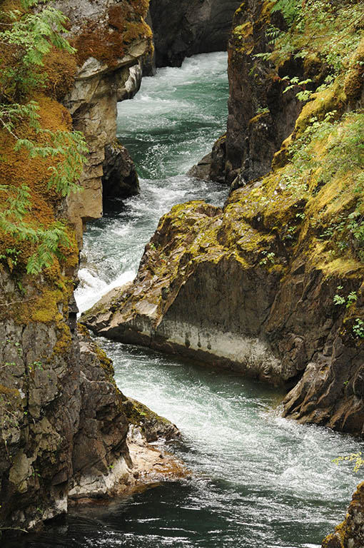 River Runs DeepJean HamiltonCelebration of Nature2013General
