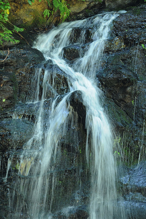 WaterfallsJean HamiltonCelebration of Nature2013General