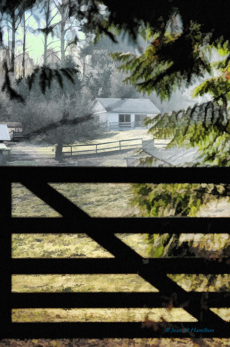 Pasture Behind the Gate