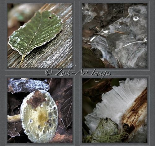 Collage of Frosty Treasures 