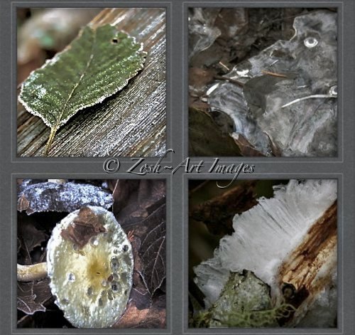 Collage of Frosty Treasures