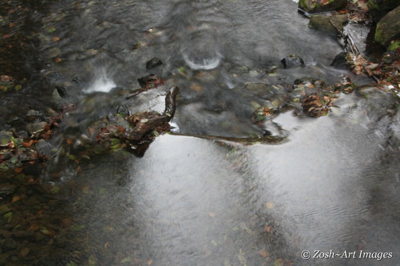 Creek Under Bridge