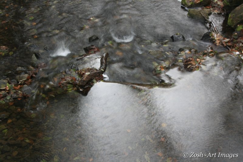 Creek Under Bridge 