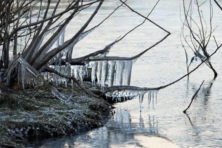 Icicles galore