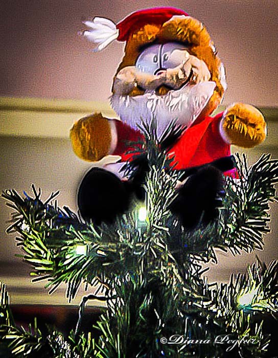 Garfield Tops the tree