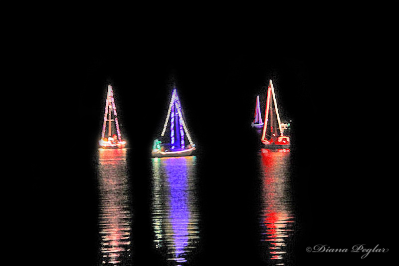 * Maple Bay Sail Past: December 8, 2013