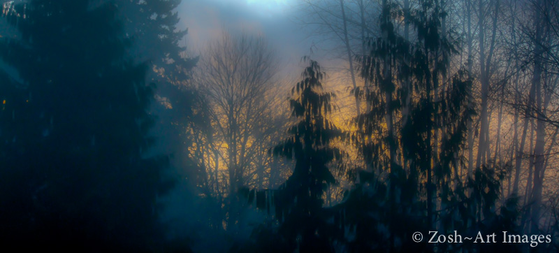 In My Backyard - Morning Sun & Fog.jpg