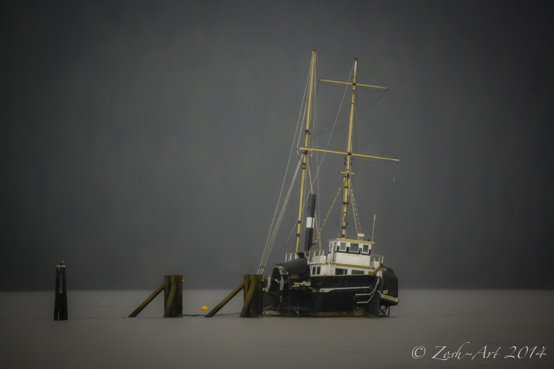 Harboured