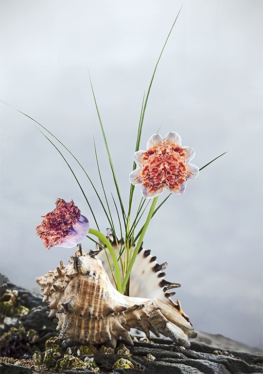 Mermaids Flower Arrangement - Rosemary Ratcliff <br>CAPA 2013 Competition Altered Reality