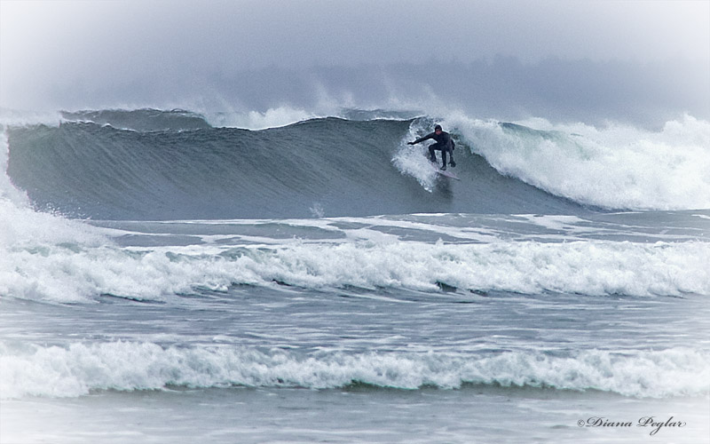 Winter Surfing