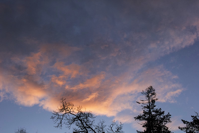 Pink Sunset to the West