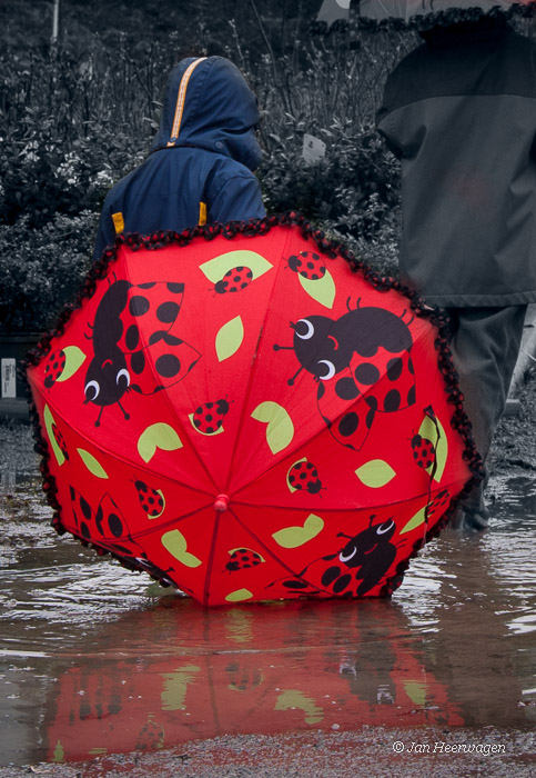 Red Umbrella