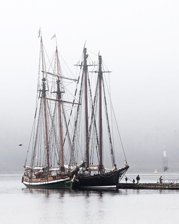 Carl Erland<br>2014 CAPA Nature/Open<br>Tall Ships