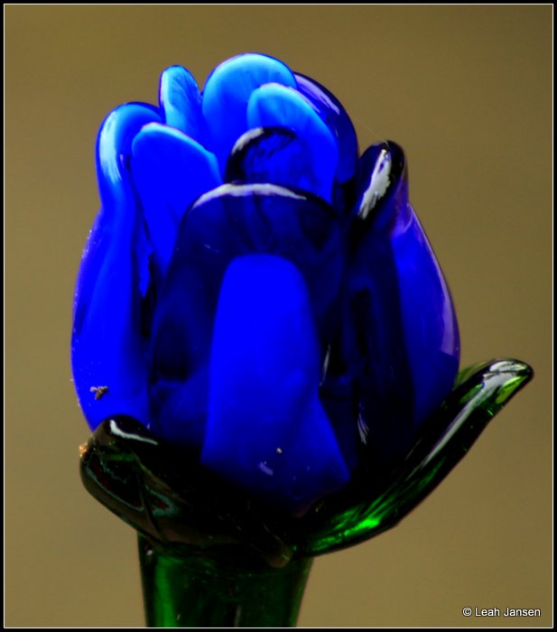 Blue Glass Rose