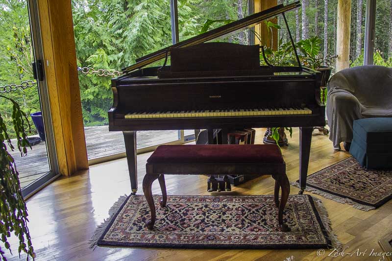 The Library's Piano