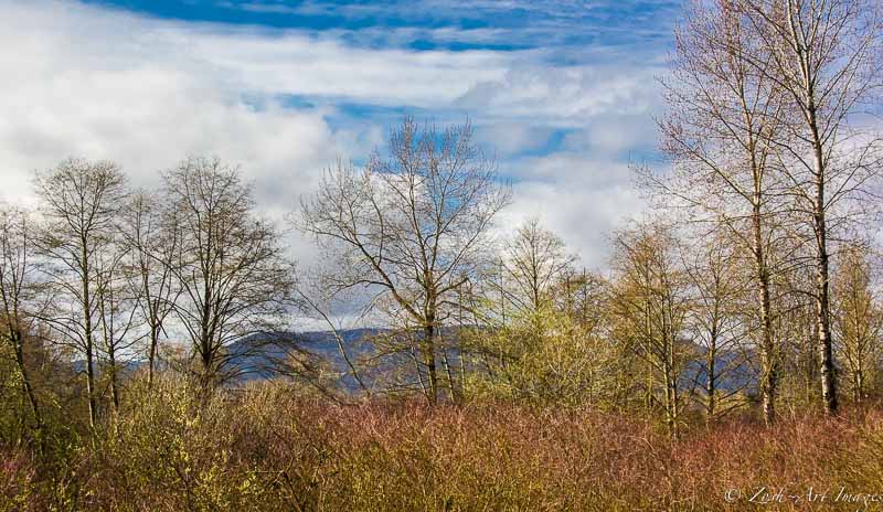 Mountains to the West