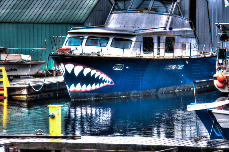 Boat with a bite.